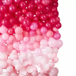 Ballonnenmuur Ombre Roze Star Gazer Ginger Ray