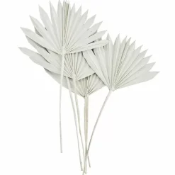 Madam Stoltz Gedroogde Palmbladeren Wit (6St)